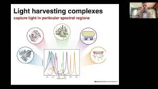 2023 Pre-GRC Quantum Biology introductory lectures, Day 3: Excitonic energy transfer