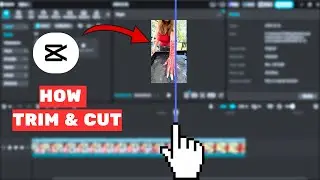 How to Trim & Cut Video in CapCut