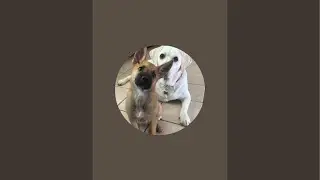 jackster is live!