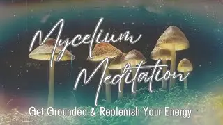 Mycelium Meditation for Grounding & Energy Clearing