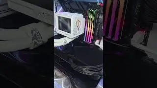 Dual rtx pro 6000 build