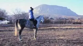 Winter without snow |HD