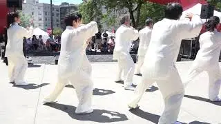 Chen Taichi 18 Forms c陈氏太极拳精要18式