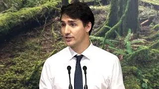 Justin Trudeau: Carbon tax critics want to 