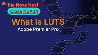 LUTs Explained | Types of LUTs | Lecture 34 | Colour Grading Tutorial