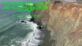 The Detrimental Effects of Litter on Beaches and How It Can Be Made Into Art-Izzi Do Arellanes