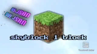 Skyblock med 1 block