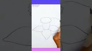 Daffodil flower drawing || #shorts #youtubeshorts #flower