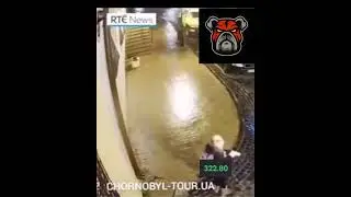 Хочешь стать богаче скупай#DDOG  #TONCrypto #Money
