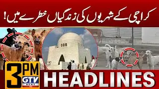Stray Dog Attacks in Karachi | 3 PM News Headlines | GTV News
