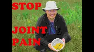 How To Make Dandelion Syrup