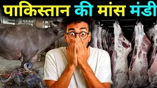 anari kasai 2025 || slaughter house || biggest slaughter house pakistan