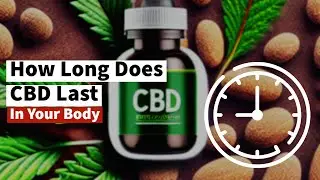 How Long Does Cannabidiol (CBD) Stay in Your System?