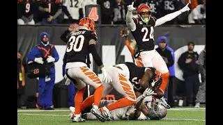 The Bengals WIN A PLAYOFF GAME as called on Bengals radio