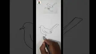 Easy drawing #Magpie drawing #shorts #Manik art academy