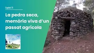 31. La pedra seca, memòria viva d'un passat agrícola
