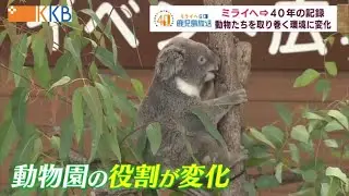 【開園50周年】映像で振り返る平川動物公園 ～ミライヘ 40年の記録～   Jチャン＋特集(8月24日(水)放送)