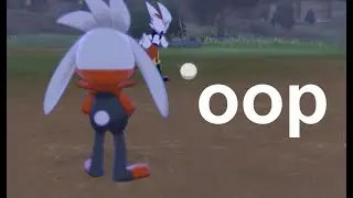 cinderace, can u not be a ball thief for 5 more minutes
