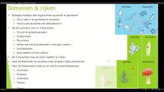 Klas 1 H V Thema 3 Ordening Basisstof 1