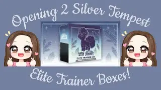 Opening 2 Silver Tempest Elite Trainer Boxes!