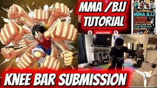 Knee Bar Submission #mma #bjj #sefdefense Leg Lock