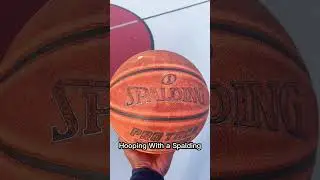Игра в баскетбол с мячом Spalding🏀 #баскетбол #шорты