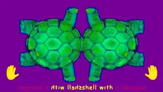 Hexagon  With Turtle Shell Effects Compilation/mirror-lay out