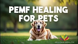 PEMF Healing for Pets | A Real Story from Cocoa Beach