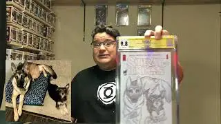 CGC Stray Dogs Art Sketch comic, Mark Jewelers Variants and the May 2022 BAM Geek box
