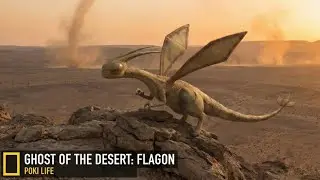 Real Life Pok&eacute;mon || The REAL Reason Flygon Are So Rare