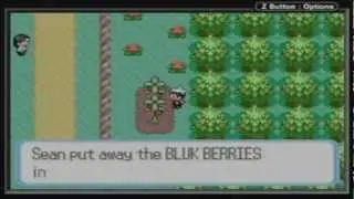 Pok&eacute;mon Sapphire Nuzlocke - Part 15: 
