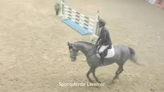 Sportpferde Lemmer 