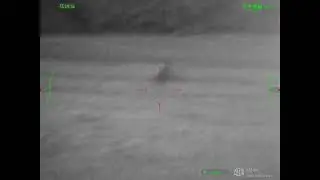 ATN x-sight 5 5-25 LRF Bunnies at night 