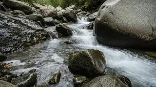 Dreamy Water Stream Sounds with Continuous Flow Ambience for Deep Focus, Sleep and Meditation