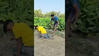 The boy pulled on his lungi while working..!#funny