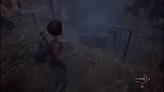 The Last of Us Part II Bugs