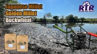 Pumping Farm Pond Creating Duck Foodplot - 2021 Final Flight Mix