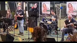 The Islander - Nightwish cover band
