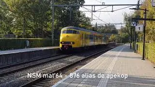 NSM Apekop  876 door station Bodegraven