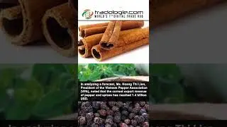 Vietnam&rsquo;s Pepper And Spices Exports Forecasted To Reach 2 Billion USD By 2025