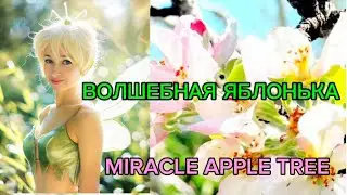 🍎Волшебная Яблонька - ВОПЛОЩЕНИЕ ЖИЗНИ 🍏Miracle Apple Tree 🌳