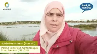 #SpeakUpForWetlands campaign &mdash; A message from Saida Hammami, ISA-CM (Tunisia)