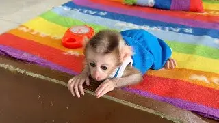 Preci0us Babii Bubu Gesture Like A Frog With Saddd Face While Mom Busy Cook