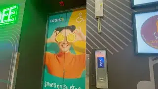 Lotus&rsquo;s On Nut Elevator Tour!