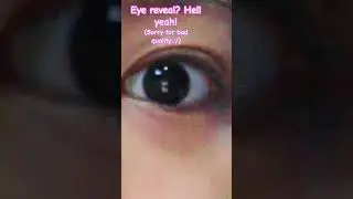 Eye reveal :3