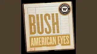 American Eyes
