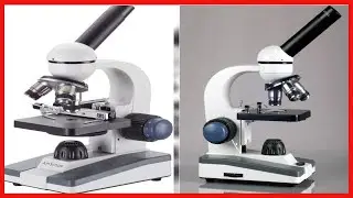 AmScope M150C MS Compound Monocular Microscope, WF10x and WF25x Eyepieces, 40x 1000x Magnification,