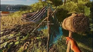 Stranded DeeP Building House on Beach
