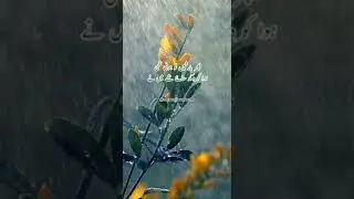 Barishen To Honi Thi... || Rain Poetry || Whatsapp Status #status #poetry #shorts