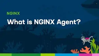 What is NGINX Agent?